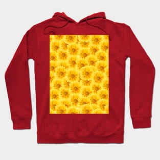 Flowery pattern Hoodie